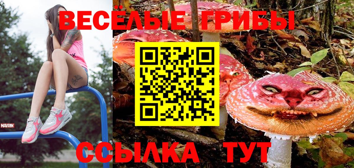 как найти наркотики  Псилоцибиновые грибы прущие грибы  Вход с VPN  Керчь  Галлюциногенные грибы Magic Shrooms 